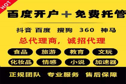 SEM服务公司经典案例集锦