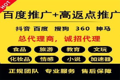 SEM服务托管实战案例：提升品牌知名度
